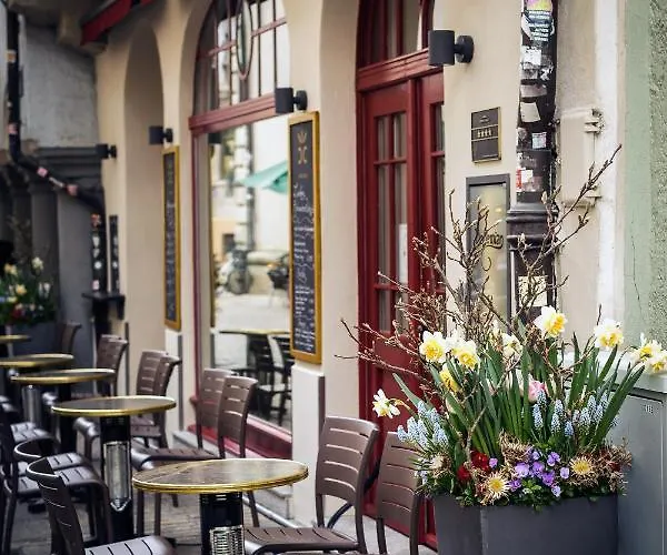 Chin-chin Ehemals Bohemian